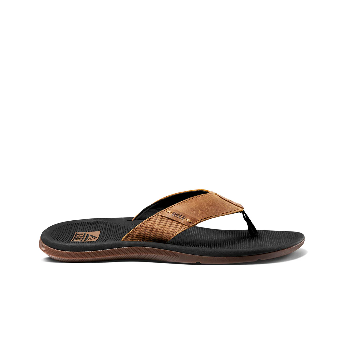 Santa Ana Le - Black And Tan - Image 3