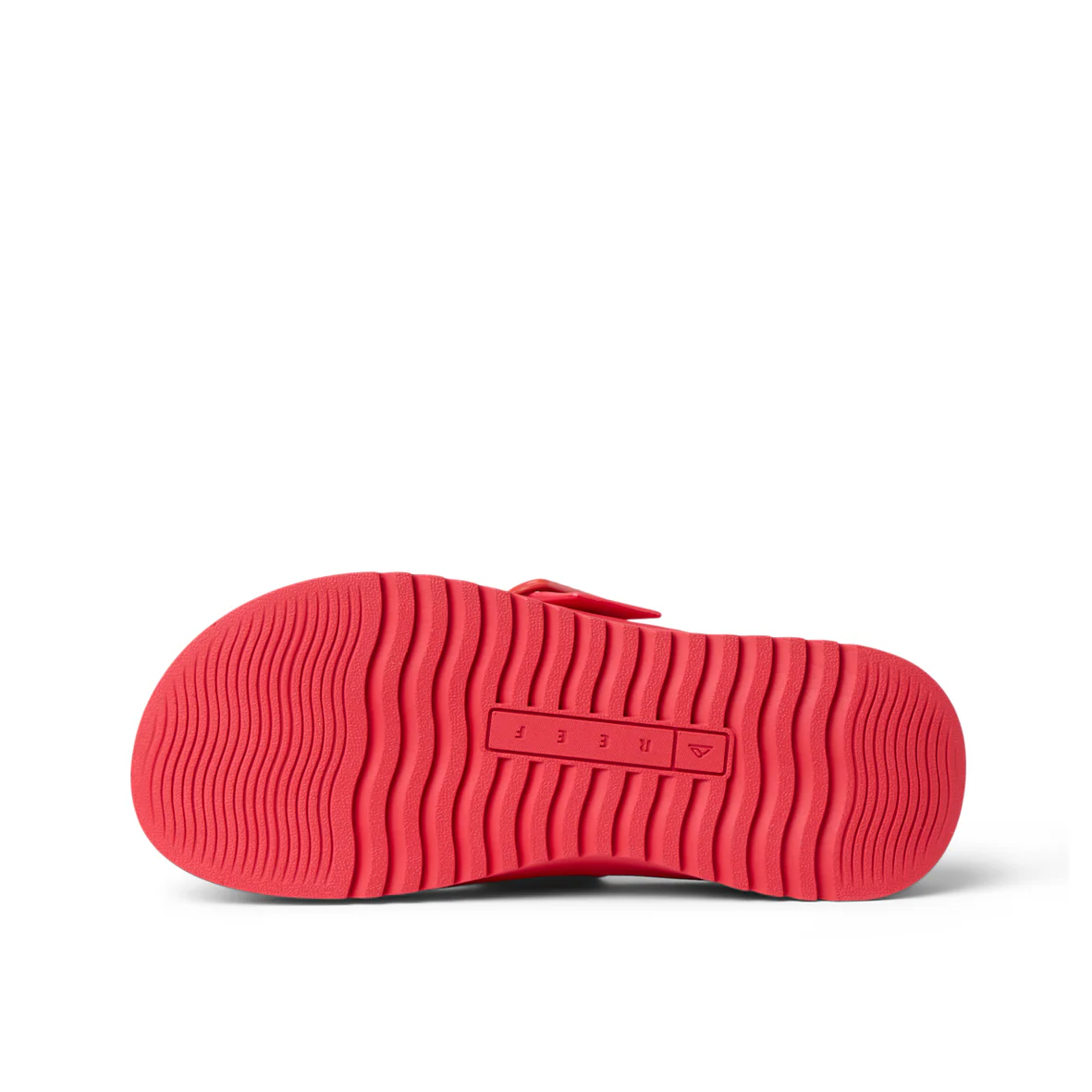 Womens Vista Capri - Hibiscus - Image 6
